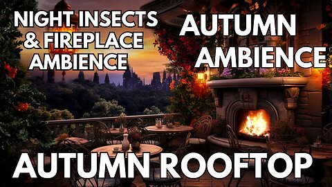 🍁 Dog TV: ASMR - Autumn Rooftop | Fireplace & Night Insects | 4K Summer Ambience