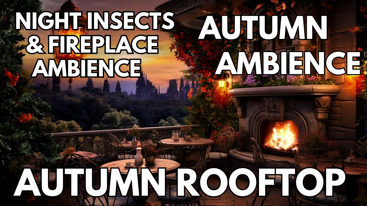 🍁 Dog TV: ASMR - Autumn Rooftop | Fireplace & Night Insects | 4K Summer Ambience