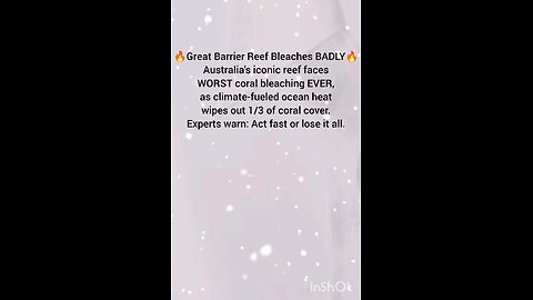 🔥Great Barrier Reef Bleaches BADLY🔥