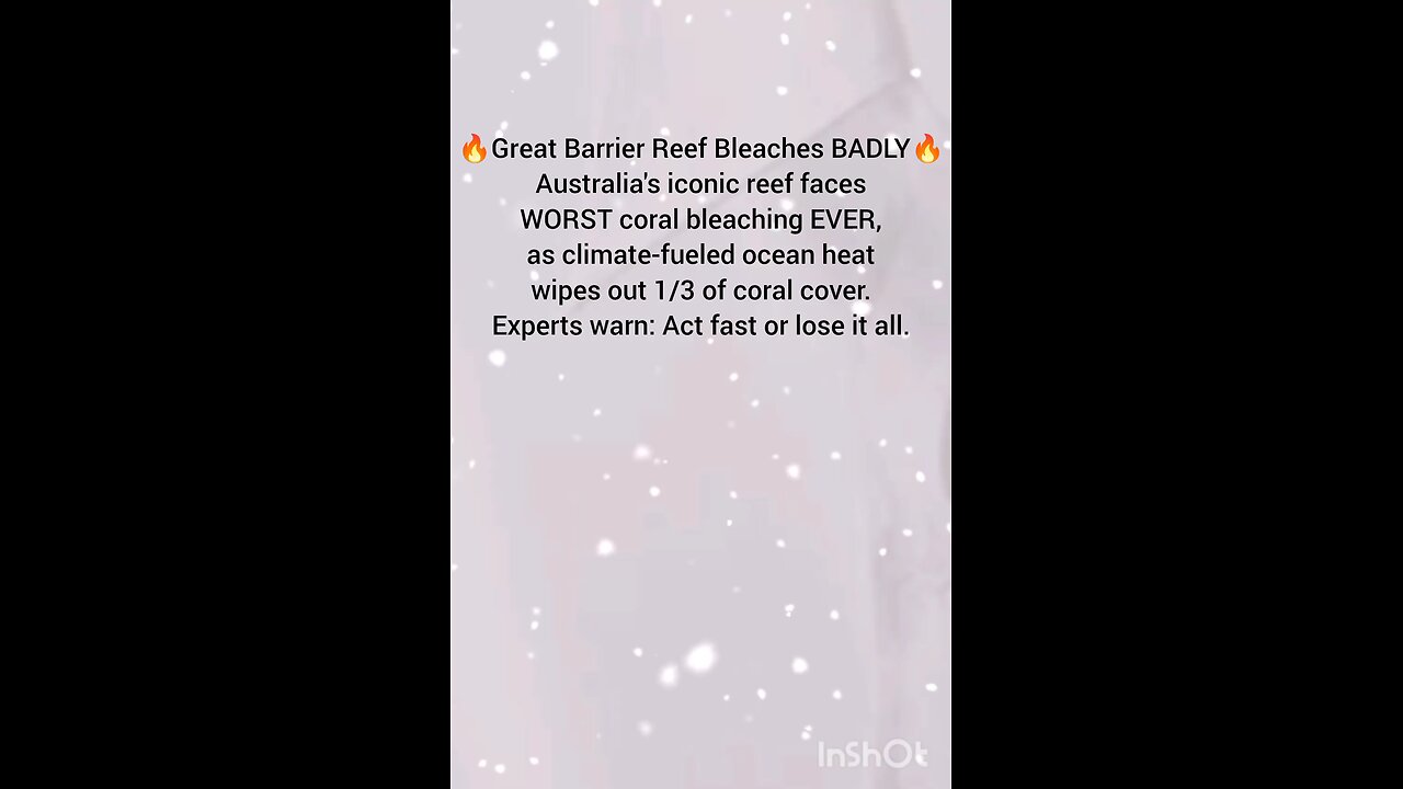 🔥Great Barrier Reef Bleaches BADLY🔥