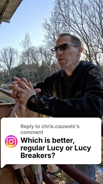 Q&A: Lucy VS Lucy Breakers Nicotine Pouches