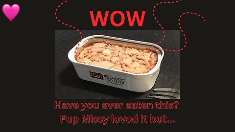 Stinkiest Fish Product Ever! Pup 🩷 Loves!