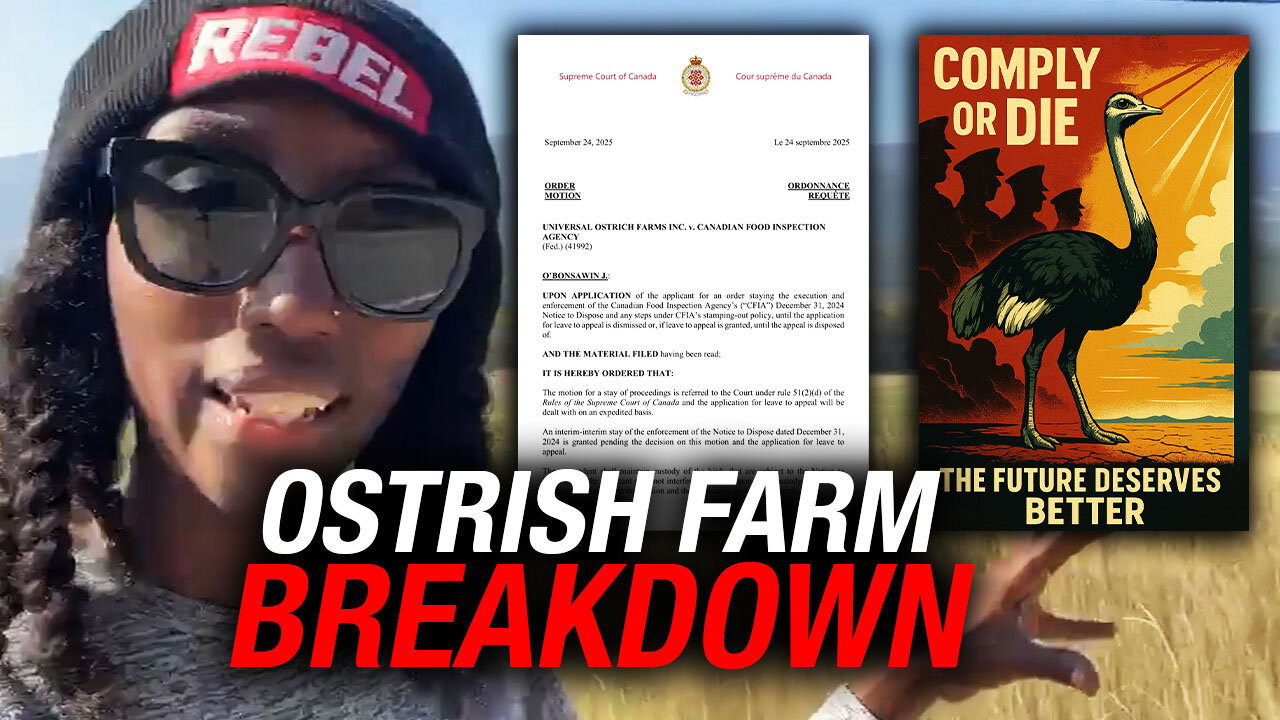 Ostrich farm receives temporary stay, seeks Supreme Court hearing