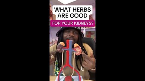 Good herbs for your kidneys ‼️