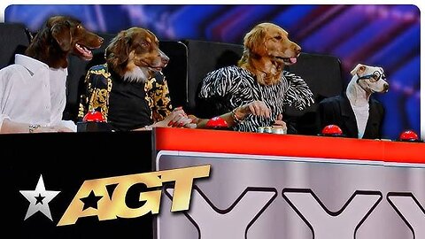 WILDEST Animal Auditions EVER on America's Got Talent!