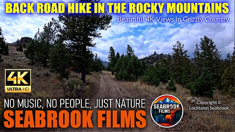 Back Road Hike in the Rocky Mountains: Beautiful 4K Views in Grizzly Country