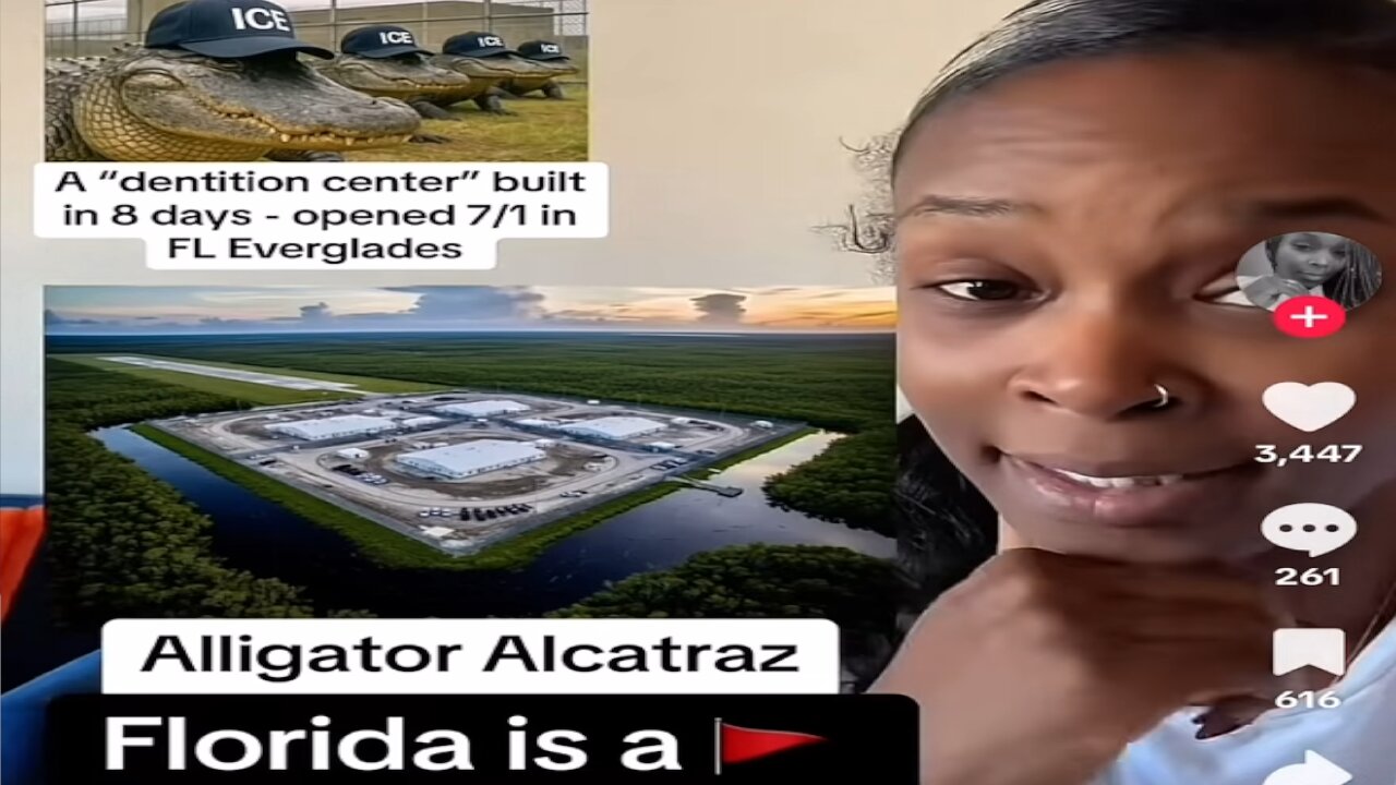 We warned you about concentration camps: alligator 🐊 Alcatraz