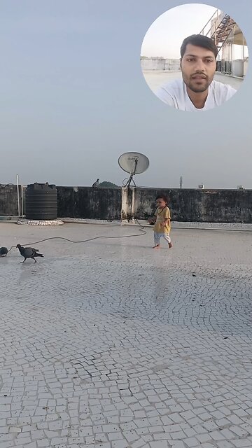 morya masti jivdaya mehsana