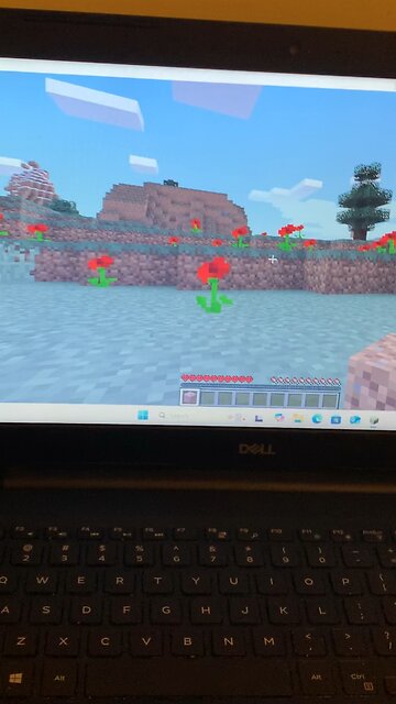 Pretty litte red roses in #minecraft