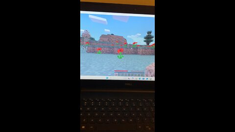 Pretty litte red roses in #minecraft