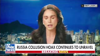 Tulsi Gabbard- KNOWINGLY