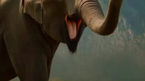 Typisch indische Elefanten