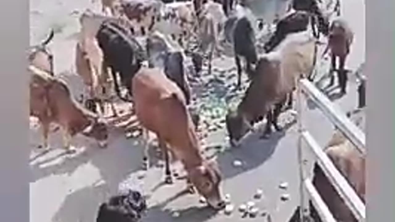 Compassion 24x7