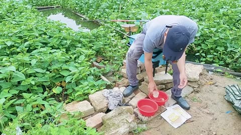 Carp Curiosity Their Feeding Habits
