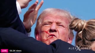INFOWARS Shows