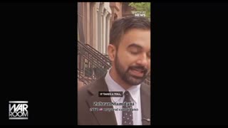 INFOWARS Shows