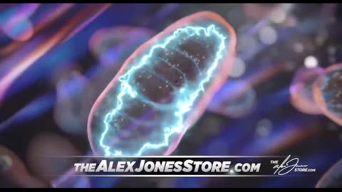 INFOWARS Shows