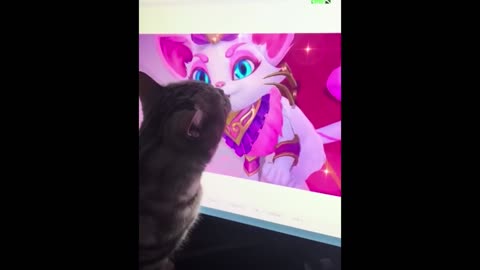When cats do thing with no brain