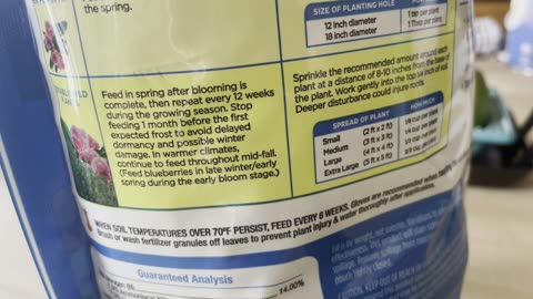 This beautiful creation