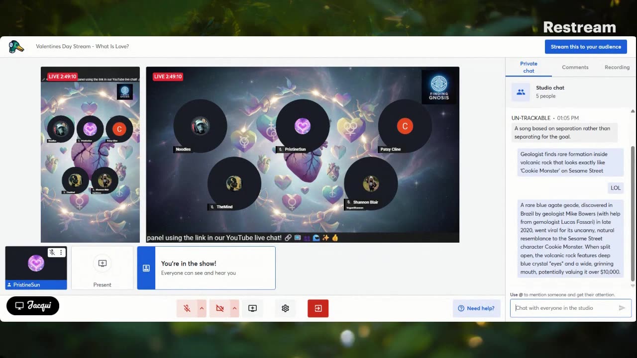 Finding Gnosis panel