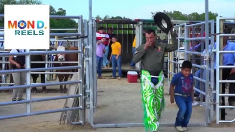 Jaripeo: The Heart-Pounding Tradition of Mexican Bull Riding