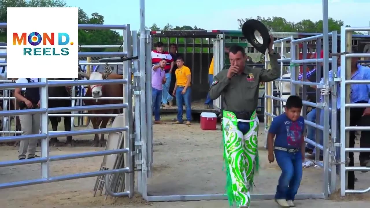 Jaripeo: The Heart-Pounding Tradition of Mexican Bull Riding