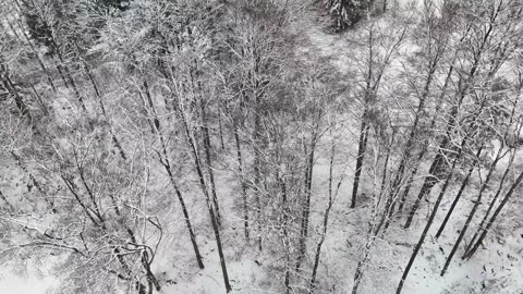 "A negative mind will never give you a positive life."