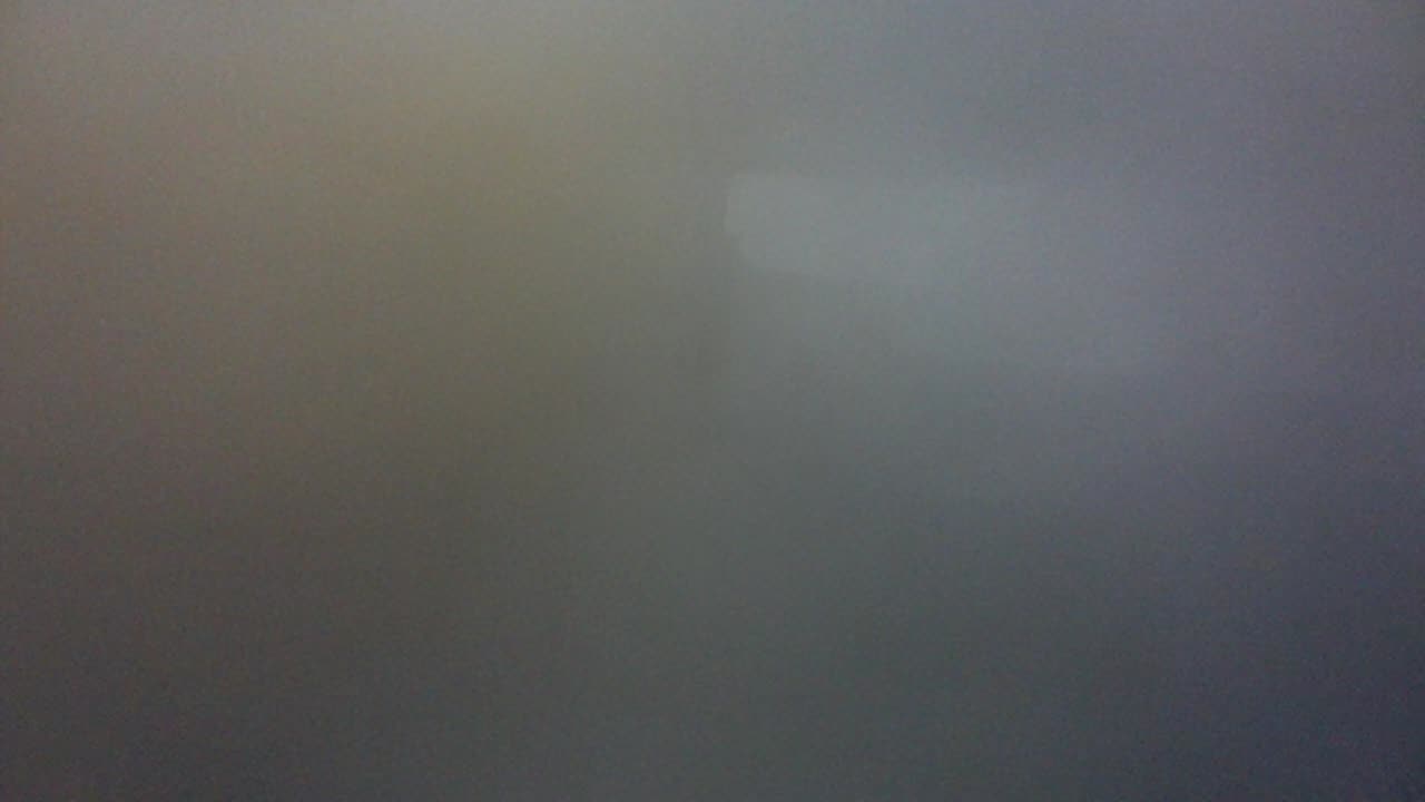 Daily Bible Study 7.1.25. Hosea/Joel