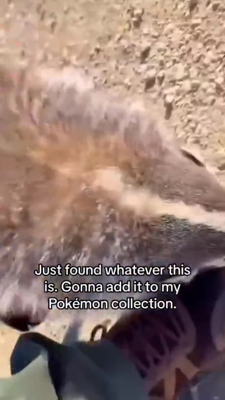 Look what i found😈