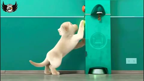 "When Cartoons Take Over Reality 🤣 | Hilarious Animation Short"