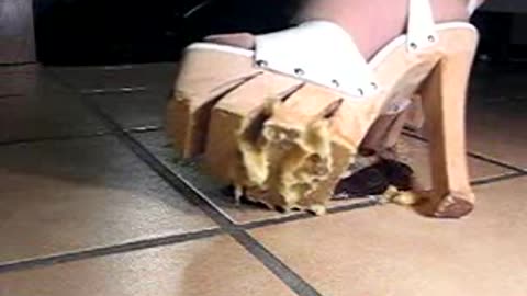 Shark Platfor High Heels vs. Banana