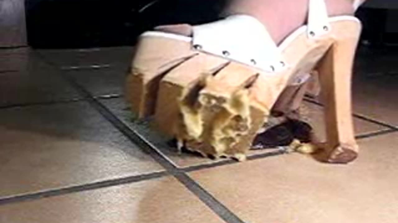 Shark Platfor High Heels vs. Banana