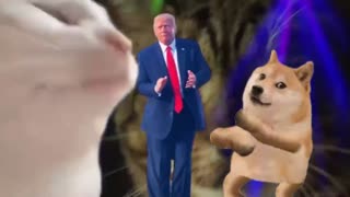 I'M GONNA MISS THIS BANGER!!!🥳🤣🤣🤣