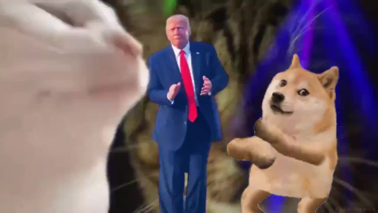 I'M GONNA MISS THIS BANGER!!!🥳🤣🤣🤣