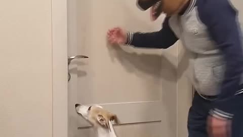 "I'm Just Kidding You 😂 | This Dog Totally Embarrassed His Dad!"