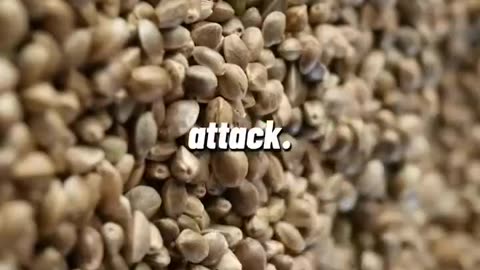 Seeds