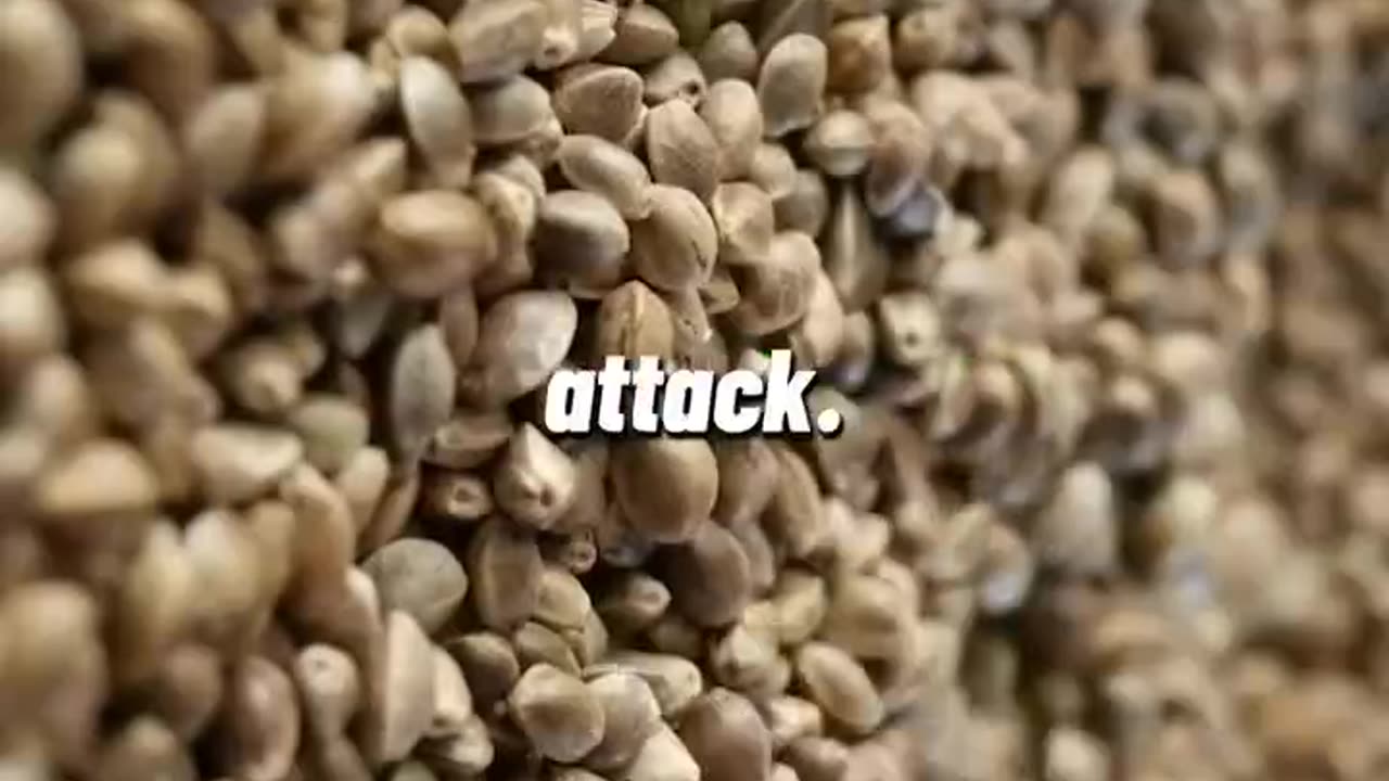 Seeds