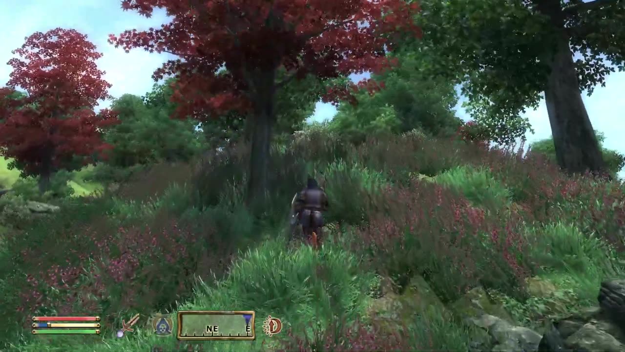 RUNNING ACROSS ENTIRE OBLIVION MAP SIZE 41 km2