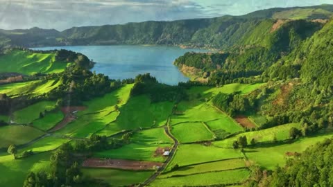 Gentle Music to Relax Your Nerves and Uplift Your Spirit – Therapeutic Sounds for Inner Peace