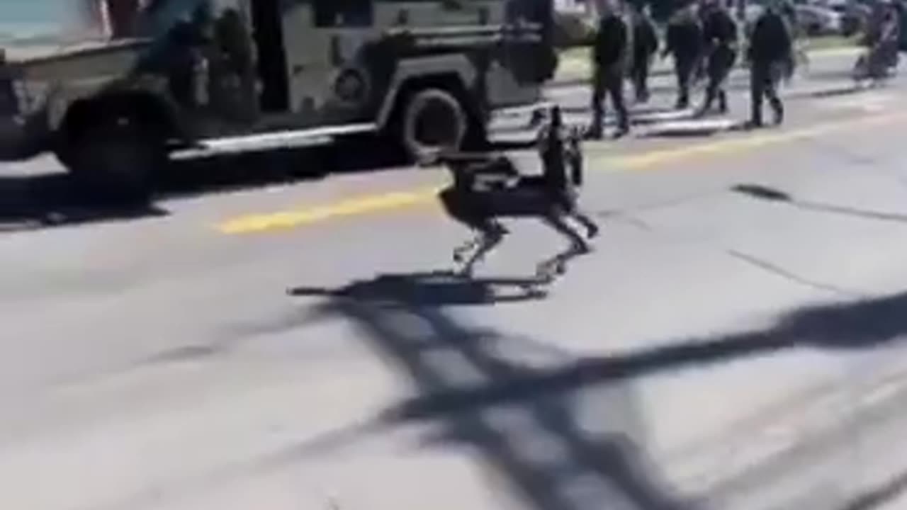 National Guard Robot Dogs have been deployed in Los Angeles.