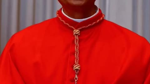 THE NEW POPE IS AMERICAN