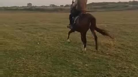 Horse riding at gujarat