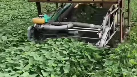 🤩🔧 The Most Satisfying Machine Ever! | FeedMyCuriosity