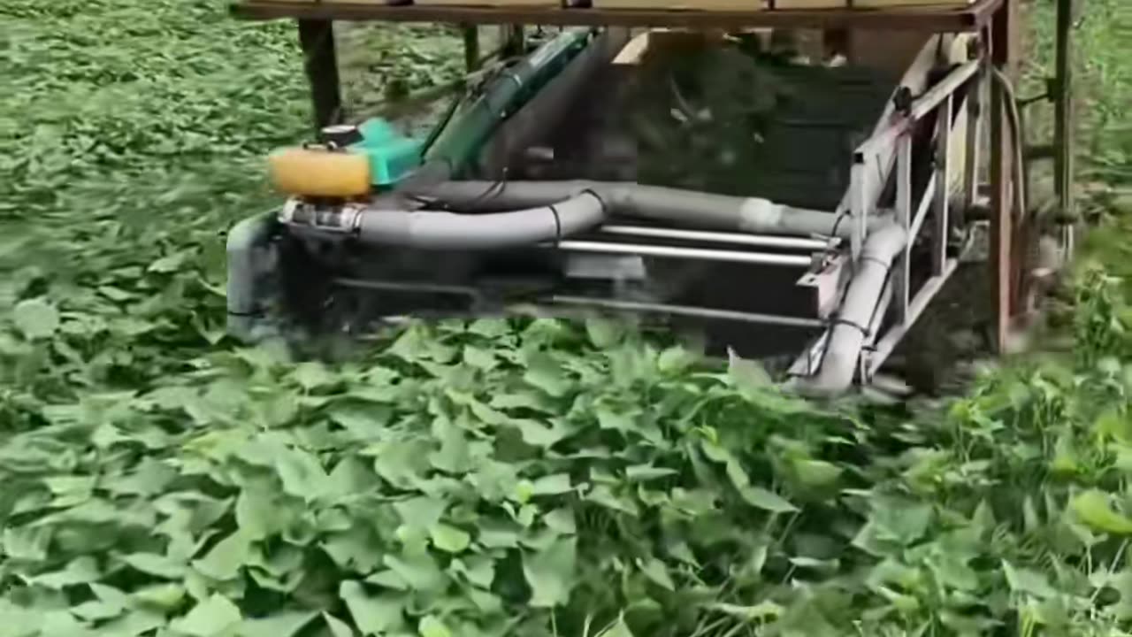 🤩🔧 The Most Satisfying Machine Ever! | FeedMyCuriosity