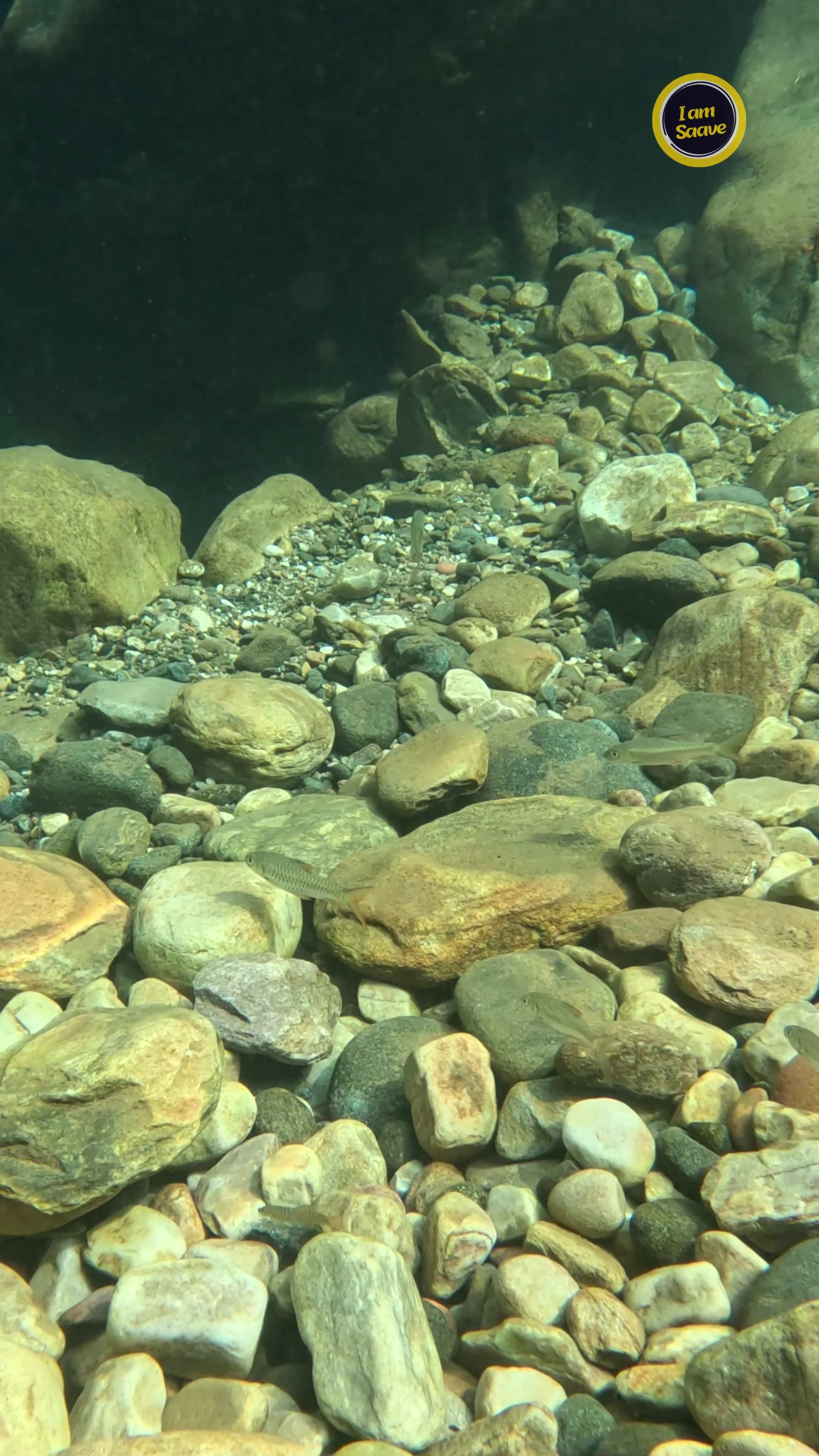 The Crystal Clean Waters of Meghalaya
