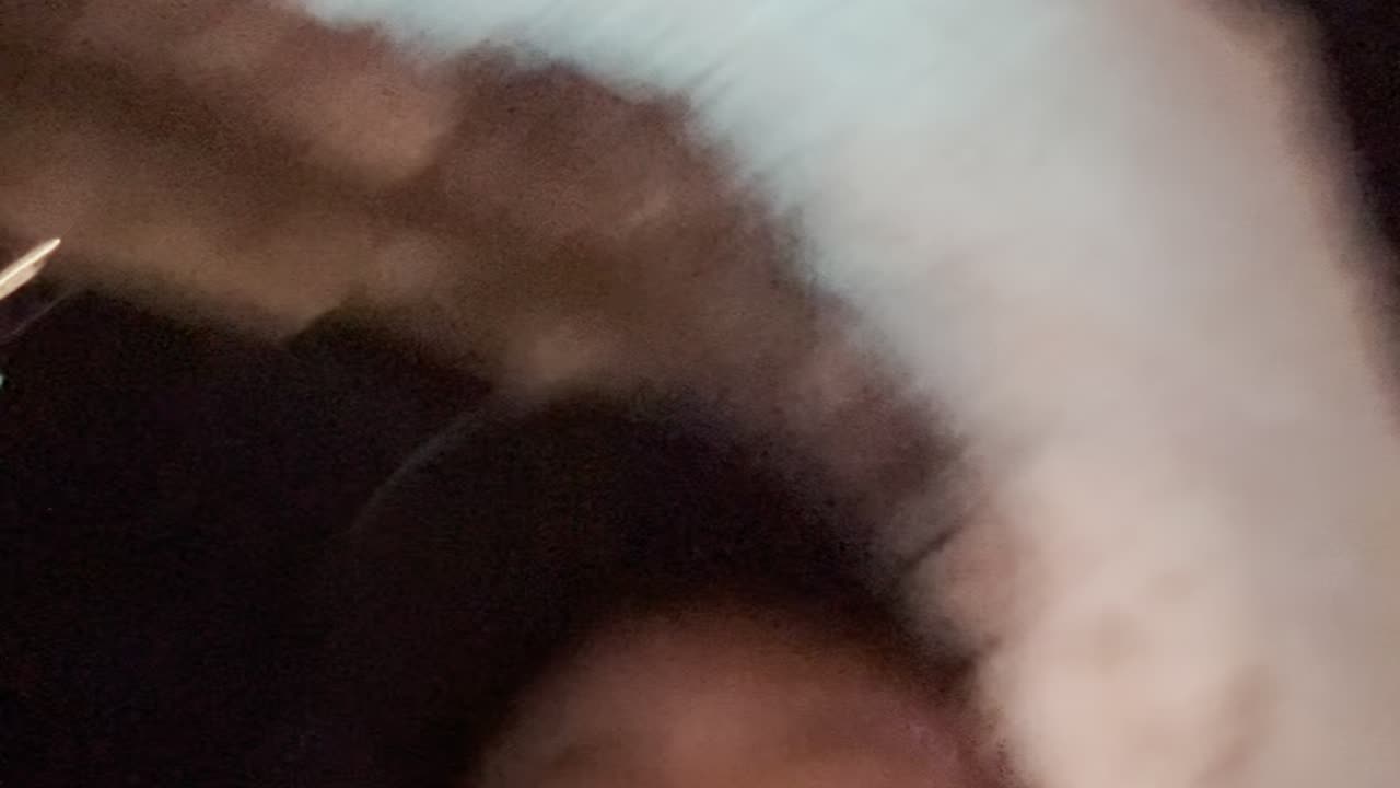 How Stella Got Her $GROOVE Back