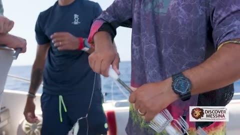 HUGE Squid Fishing in Italy_part1