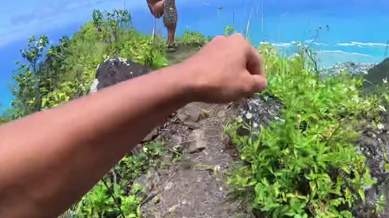Mountain Abreast Running Girls viral