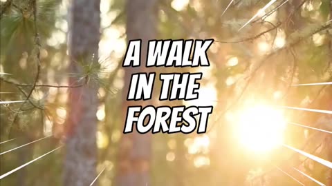 Forest Bathing in 60 Seconds #forestlife #forestbathing #forestwalk #naturelovers #naturesounds HD