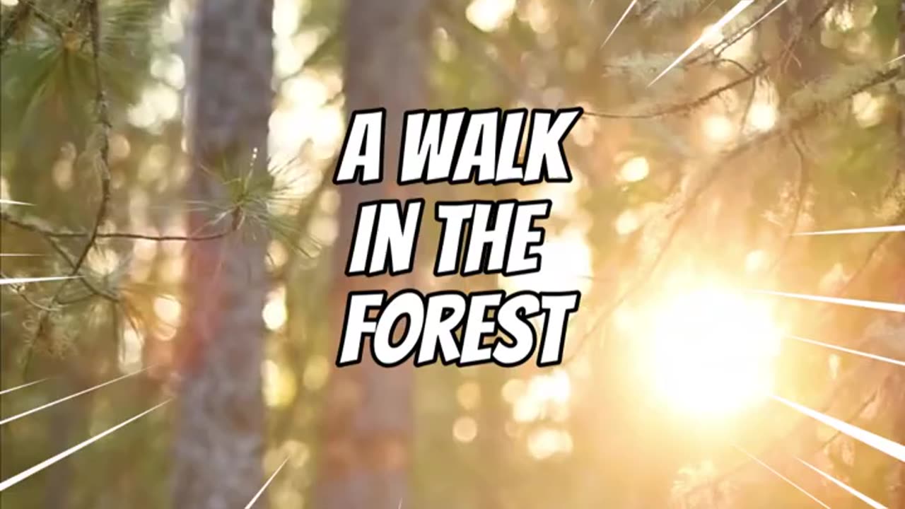 Forest Bathing in 60 Seconds #forestlife #forestbathing #forestwalk #naturelovers #naturesounds HD